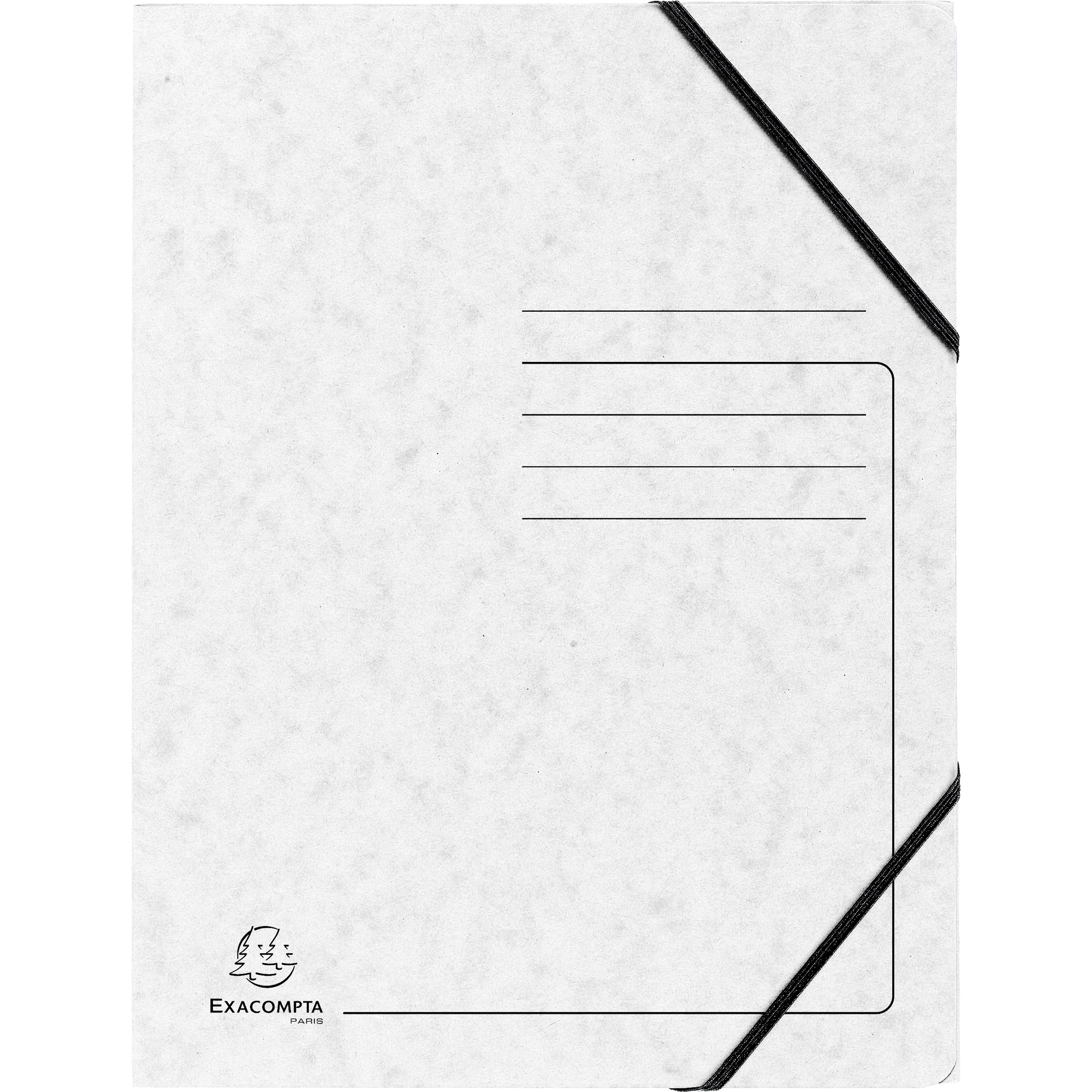 A012824T