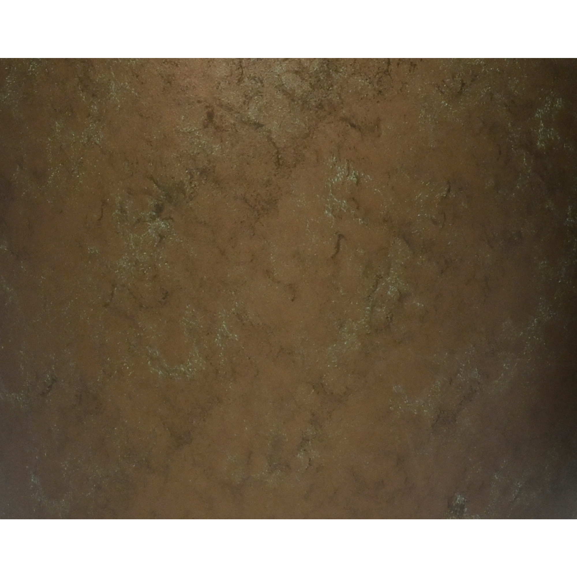 Y001613Z